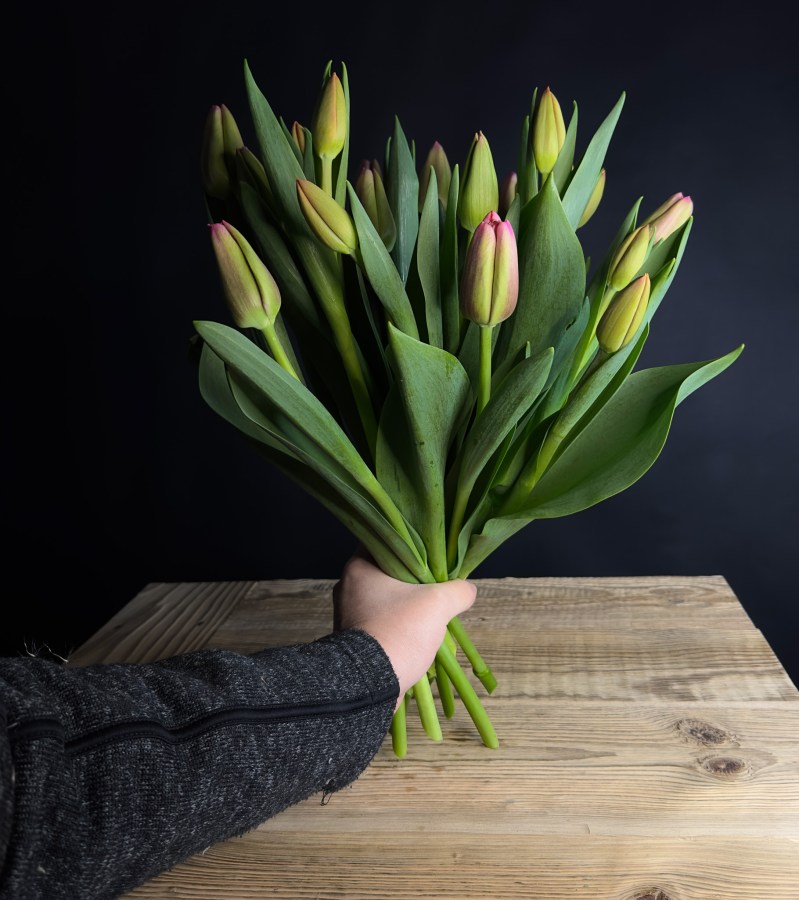 Blumengalerie-Shop-Blumen-Tulpen.jpg