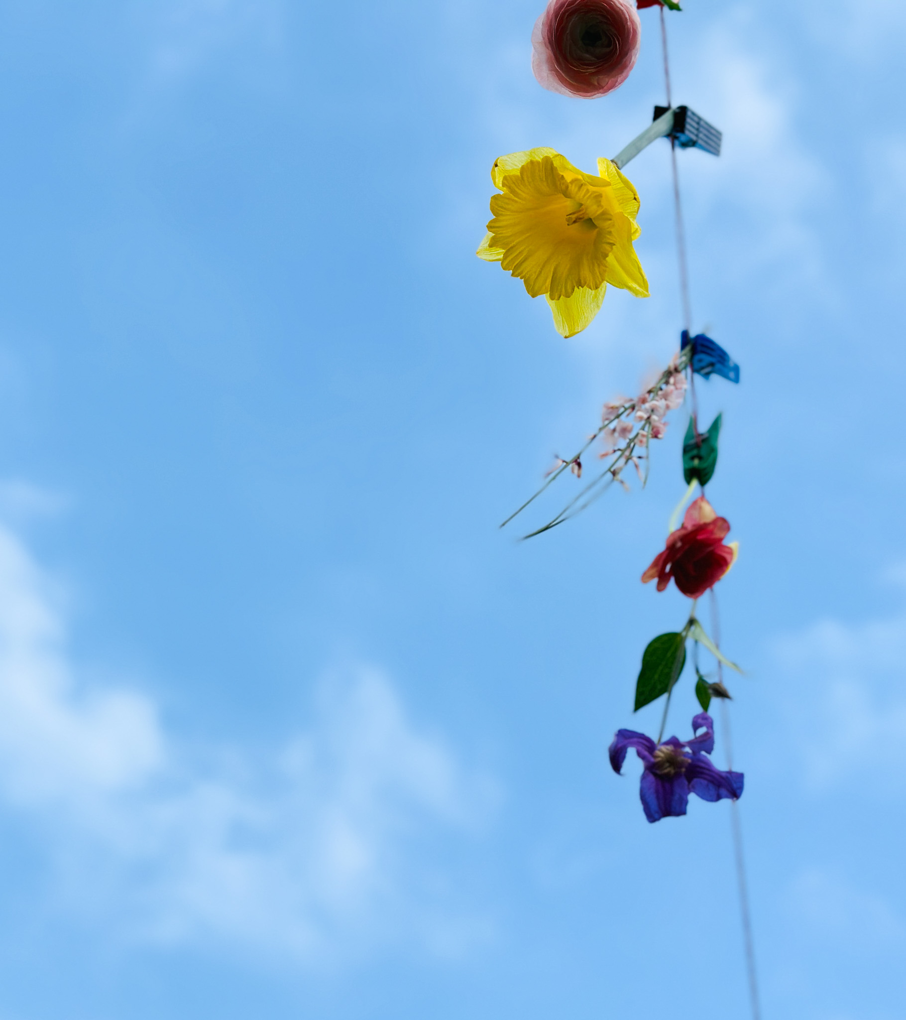 «Blumen für sich selbst» 