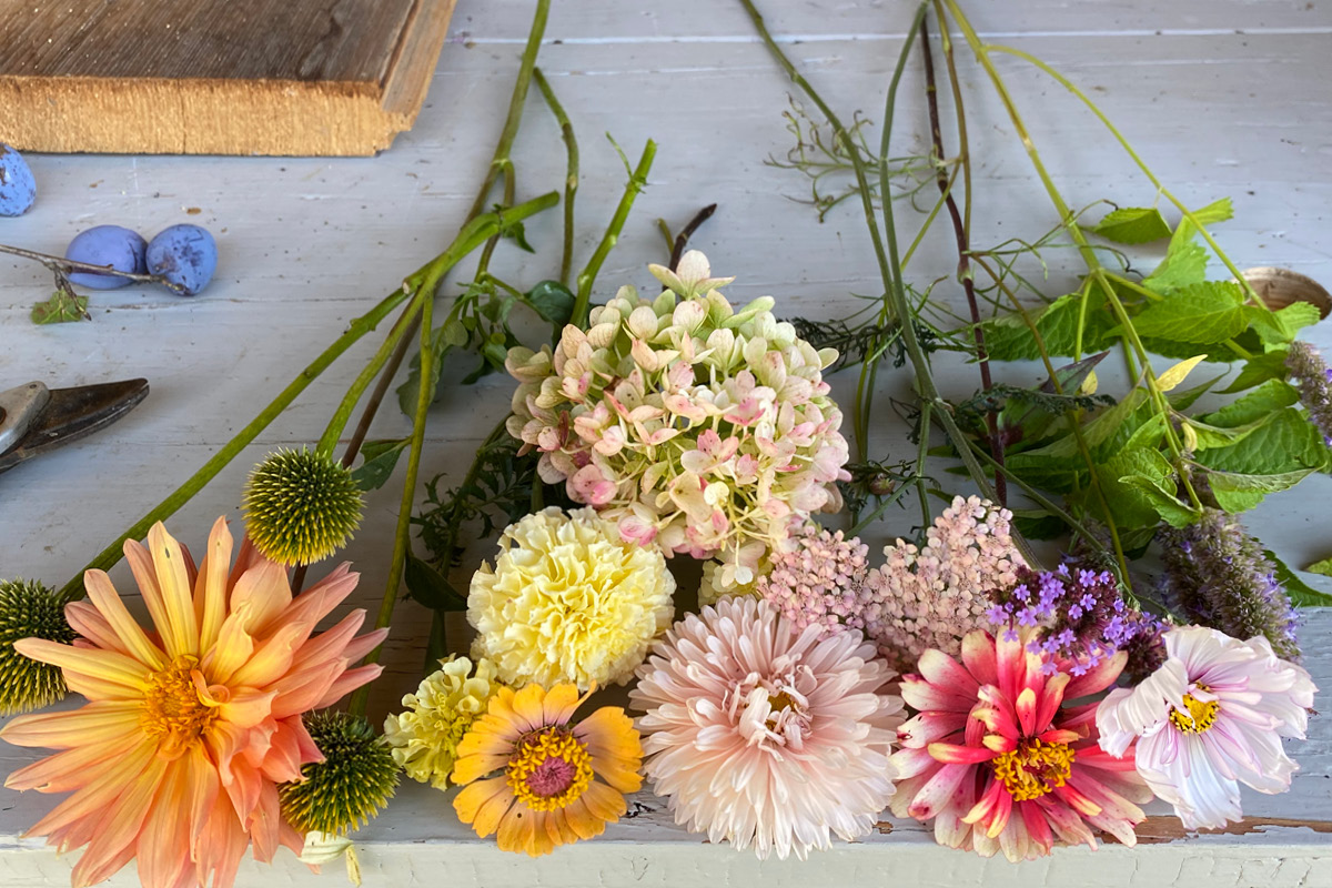 sommerliche Blumen auf Arbeitstisch in Stansstad